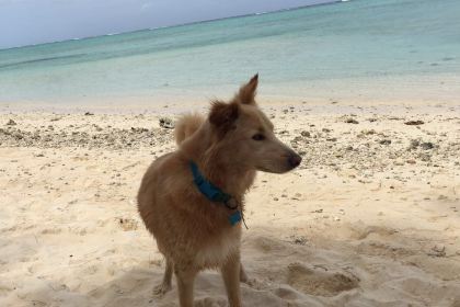 Tinian Dynasty Hotel and Casino