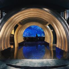 Ristorante L'Olivo at Al Mahara User Photo