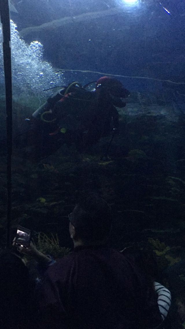 Changfeng Ocean World