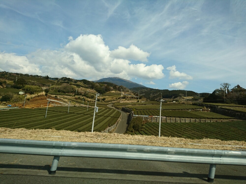 牧之原大茶園旅遊攻略指南 牧之原大茶園評價 牧之原大茶園附近推薦 Trip Com
