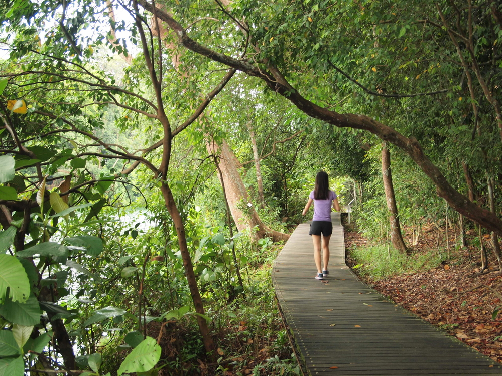 MacRitchie Reservoir