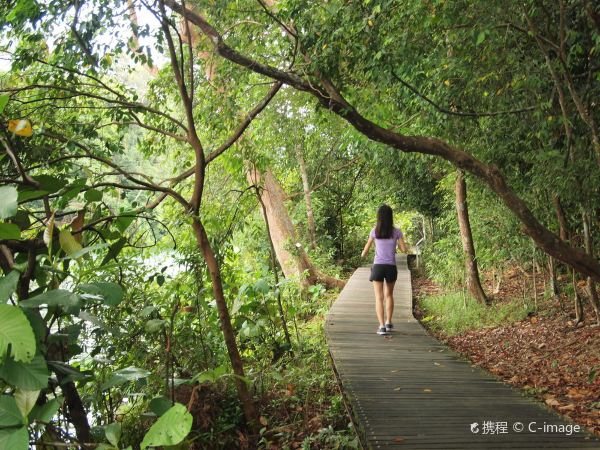 MacRitchie Reservoir