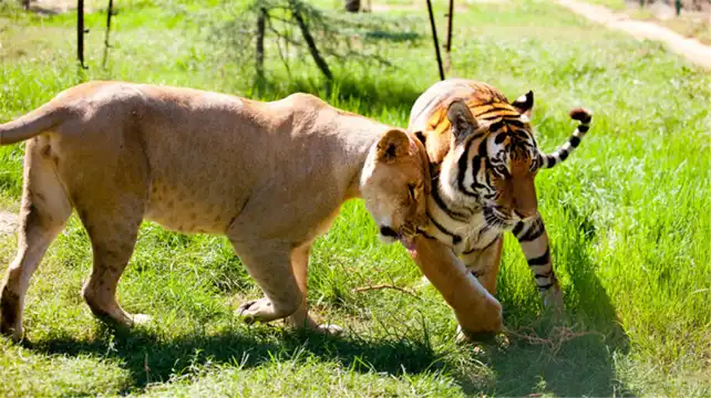 Hotels near Zhengzhou Zoological Garden