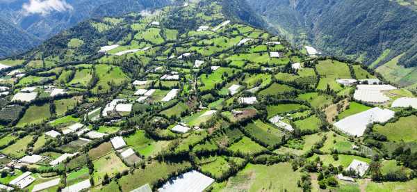 Hotels in Ecuador