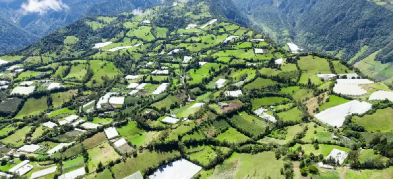  Privatzimmer in Ecuador
