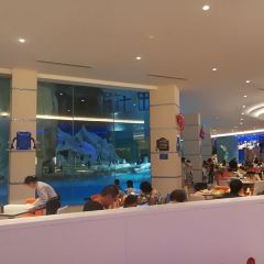 Emperor Penguin All Day Dining User Photo
