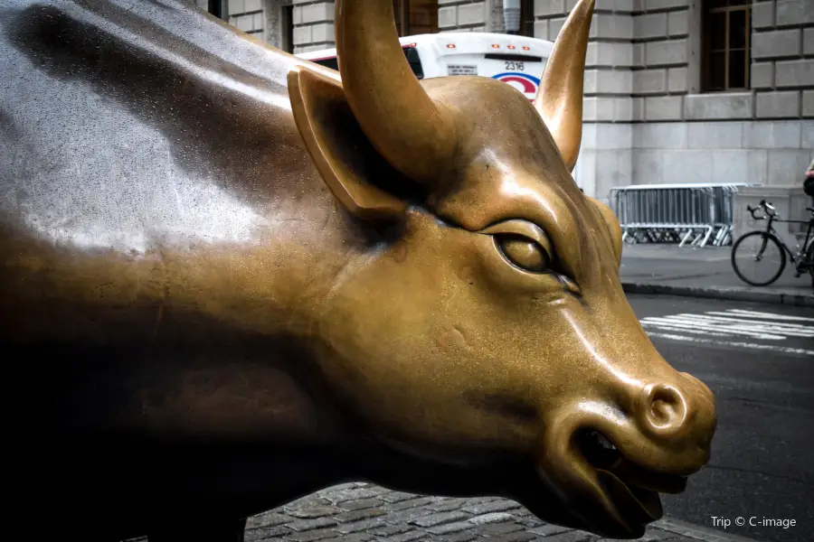 Charging Bull