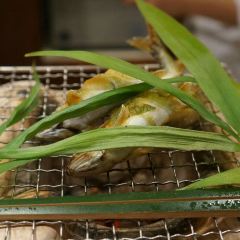 Inshoutei User Photo