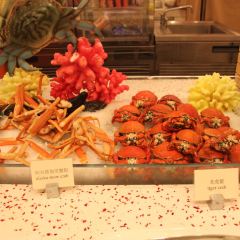 DOLPHIN ALL DAY DINING User Photo