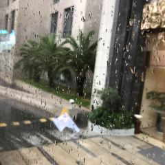 普罗旺斯西餐厅 User Photo