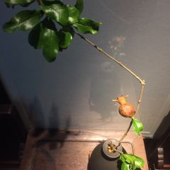 GUIYU RESTAURANT User Photo