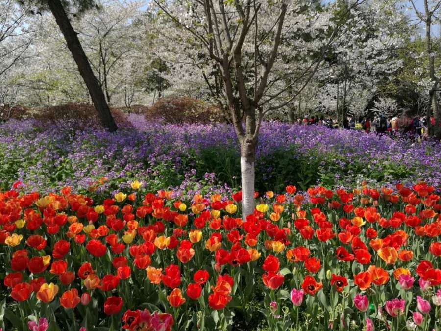 Chouzhou Park