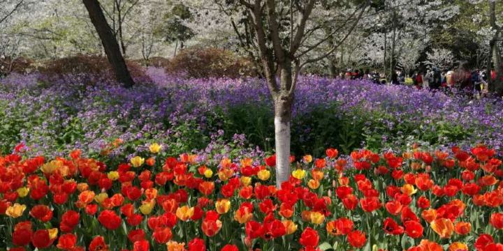 Chouzhou Park