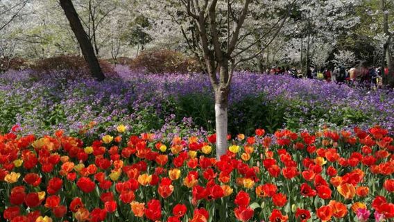 Хуйчжоу Парк