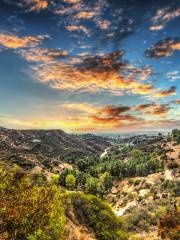 Bronson Caves