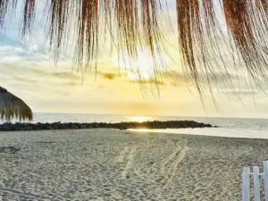Papaya Beach