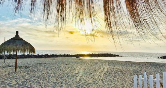 Papaya Beach