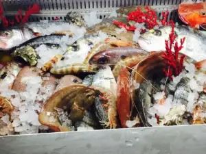 Il Corallo
