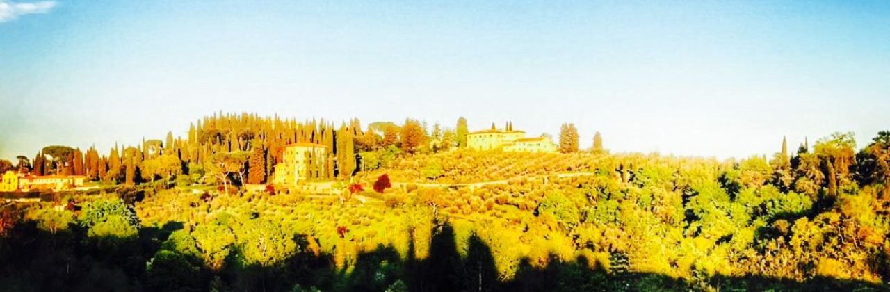 Chef Alessio Sedran – Ristorante La Cucina