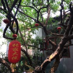 张家大院私房菜(芙蓉街店) User Photo