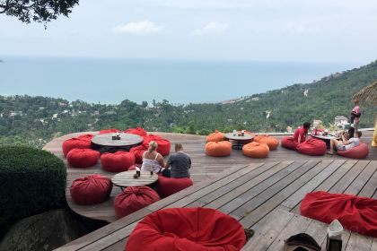 The Jungle Club Restaurant