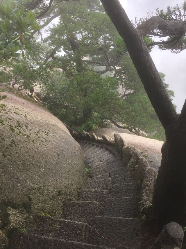 즉어배