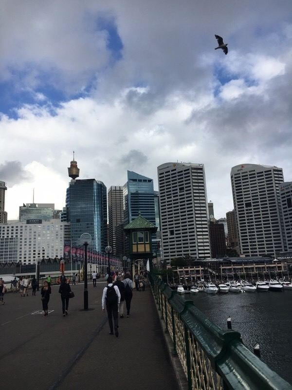 達令港