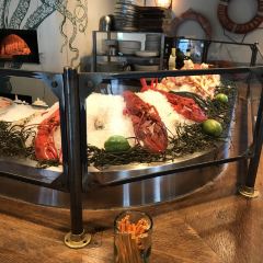 The Optimist張用戶圖片