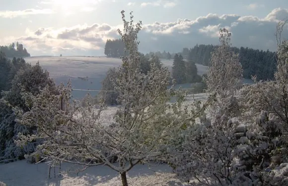 弗萊索爾度假屋酒店