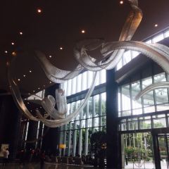 ECCO All Day Dining Restaurant User Photo