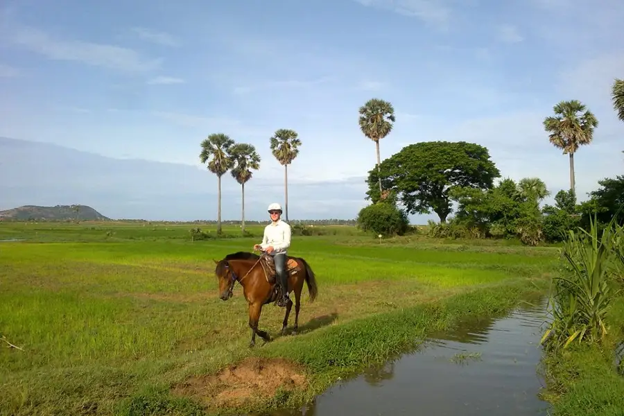 The Happy Ranch Horse Farm