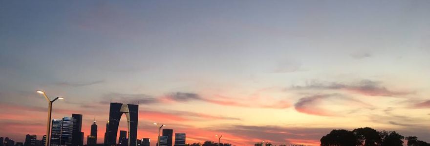 Dicos (gujiaojinniu)