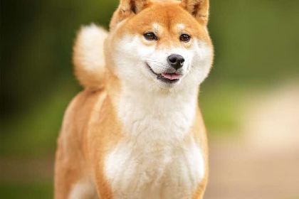 李记炒酸奶(老店新乡第一家)