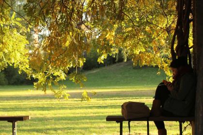 三不牛腩锅物料理(苍南银泰店)