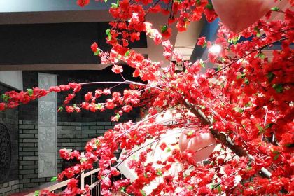 川渝部落·重庆火锅(乐清店)