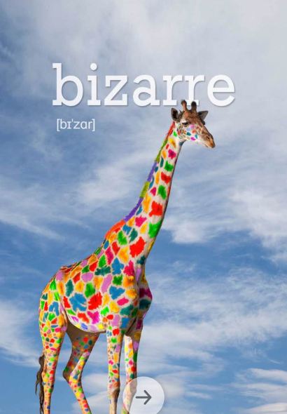 羅森尼娜（中皇城店）