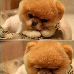 McDonald's (yangguang) User Photo