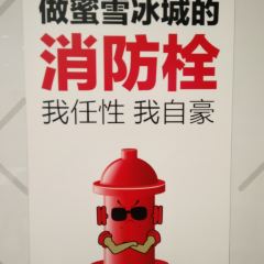 蜜雪冰城(大学城店) User Photo