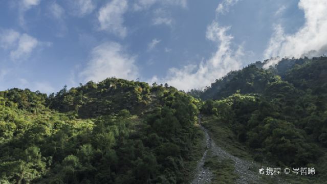 臥龍神樹坪熊貓基地+映秀遺址+都江堰一日遊包車三環內接駁