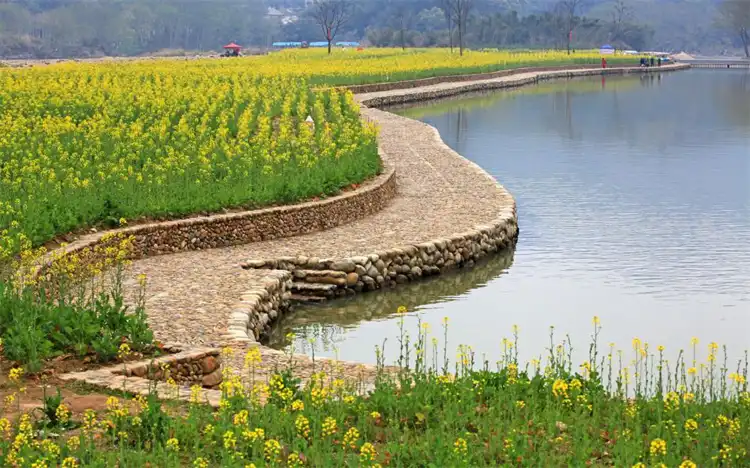 鄰近劉氏龜武曾祖墓的酒店