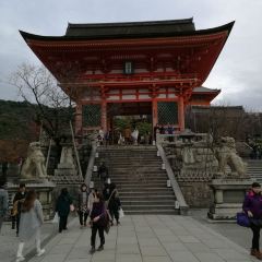 青龍寺旅遊攻略指南 青龍寺評論 青龍寺附近推薦 Trip Com