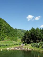 Baiyun Temple Scenic Area