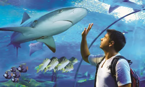 Cairns Aquarium