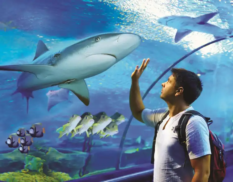 Các khách sạn gần Cairns Aquarium