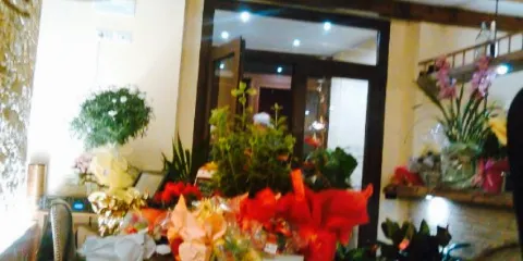 Ristorante Montenero