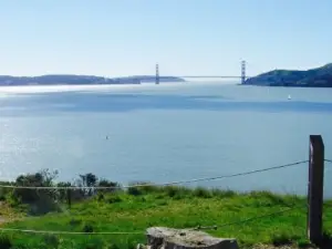 Angel Island Company
