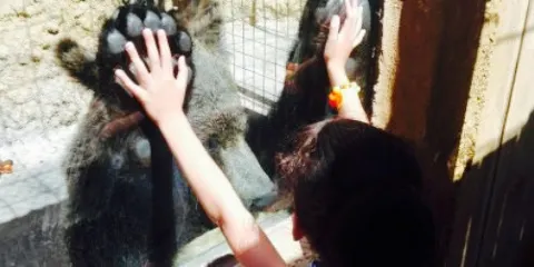 Wildlife Park Malta Restaurant