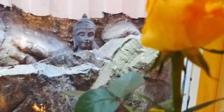 Steenhuset Restaurant