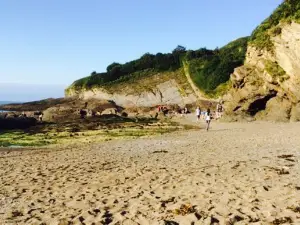 Saunton Break Cafe