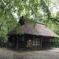 Mizuya Chaya User Photo